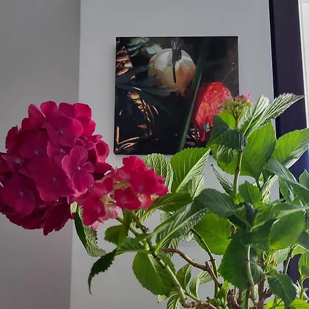 Lejlighed уютная рядом с центром бургаса Burgas City