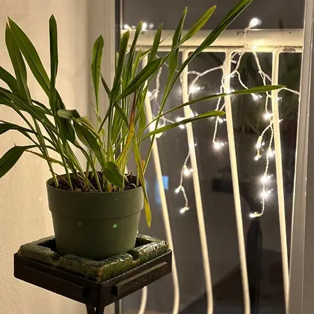 уютная рядом с центром бургаса Apartment