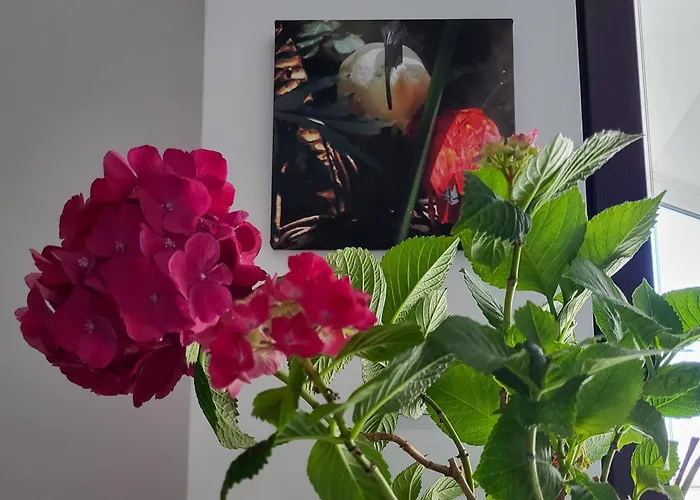 Апартамент уютная рядом с центром бургаса Бургас