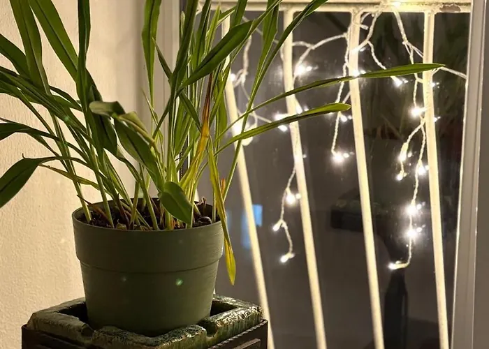 уютная рядом с центром бургаса Апартамент